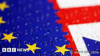 Is Brexit talk a 'poisoned chalice' for politicians?