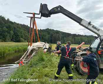 Pferderettung per Teleskoplader