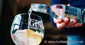 Beverley Gin Festival set to dazzle with live bands, street food, and vast gin selection