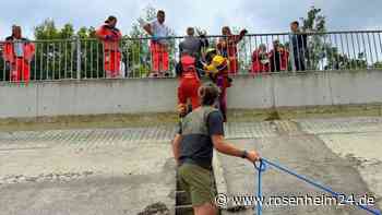 Dramatische Minuten in Töging: Jogger zieht Mann aus reißendem Inn-Kanal