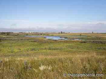 Letters: New downtown Saskatoon library a foolish waste of tax dollars