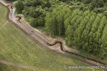 Over 850 meter slingert Munsterbeek opnieuw door Bilzense natuur: “Goed voor het leven in de beek”