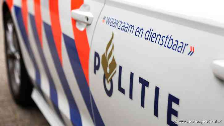 Nepagenten gearresteerd nadat argwanende vrouw de echte politie belt