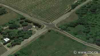 Hamilton woman found dead in rural Niagara ditch is 'deeply concerning,' police say