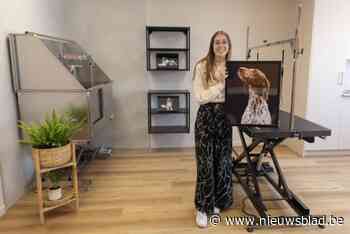 Tineke (22) opent eigen trimsalon voor honden: “Ze kunnen hier ook terecht voor een heuse fotoshoot”