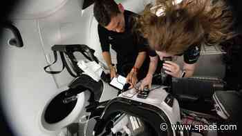 SpaceX's Inspiration4 astronauts got genetically younger in space: study