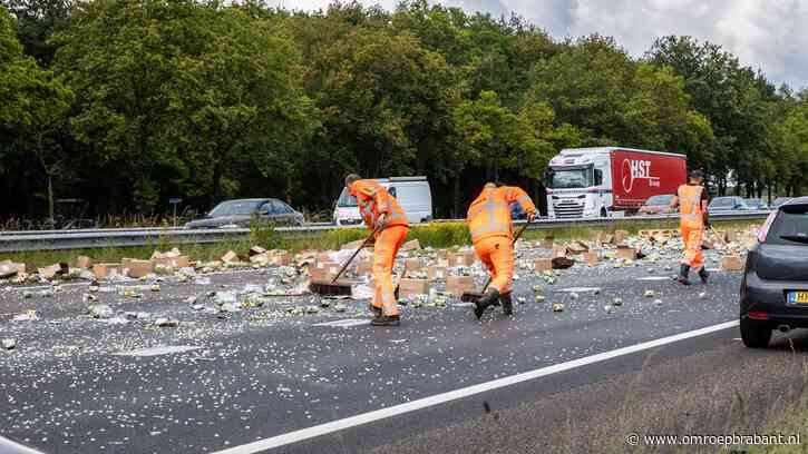 Ananas zorgt voor problemen op de snelweg A58