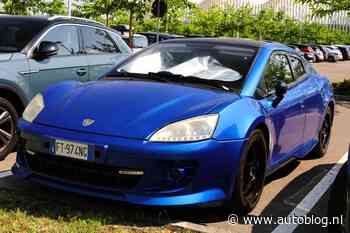 Gespot – Deze exoot is niet zo snel als ‘ie eruit ziet