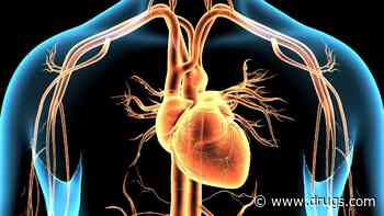 Heat Exposure Increases Myocardial Blood Flow