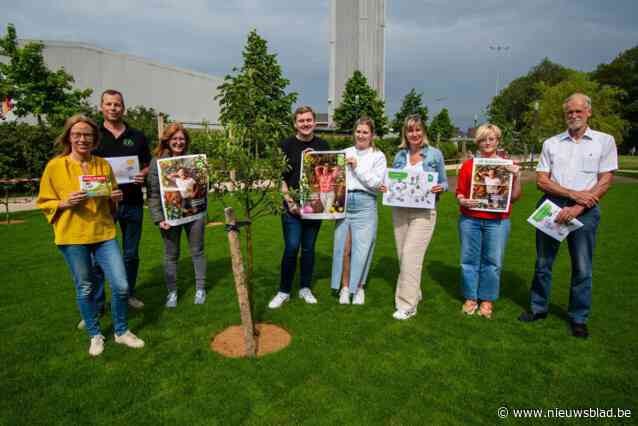 Stad lanceert twee nieuwe bijenzoektochten
