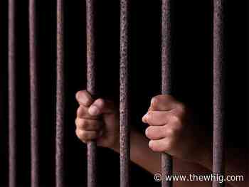 Kingston Police lay charges in attempted Kingscourt break and enter