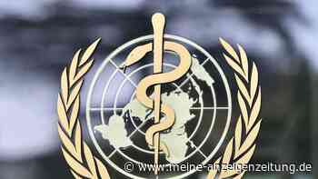 Kind mit Vogelgrippe in Indien schwer erkrankt