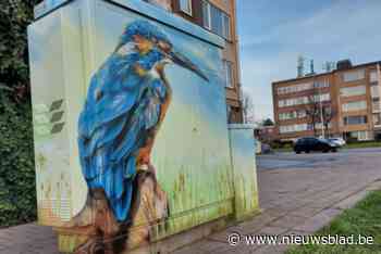 Maak kans op een foto van jou op een tentoonstelling: Wilrijk wil haar straten poëtisch in beeld