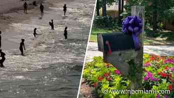 Community rallies around teen's families after shark attack in Florida