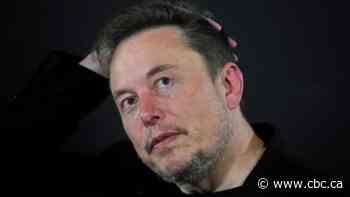 Elon Musk claims Apple's new AI tools are a privacy risk. How much of a concern are they?