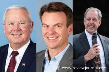 AP: Drew Johnson, Mark Robertson win primaries