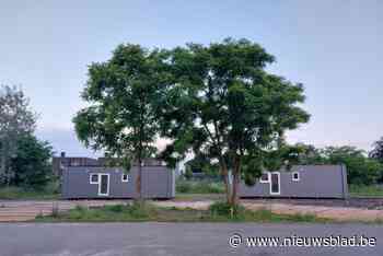 Lommel plaatst drie woonunits voor opvang Oekraïense gezinnen