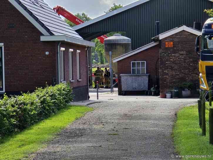 Brand op boerderij, 25 kalveren gered