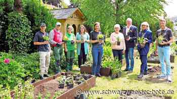 Aphrodisierender  Garten: Mit dem Garten  zur Ornamenta zeigt Nagold Mut