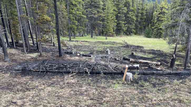 Average wildfire danger in Calgary Forest Area now high, officials say