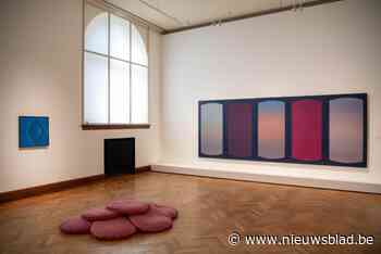 Langste Dag in KMSKA: van 5 tot 22 uur activiteiten rond Jef Verheyen