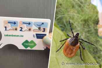 Herselt zet strijd tegen tekenbeten in met ‘tekenkaart’: “Belangrijk om jezelf te controleren”