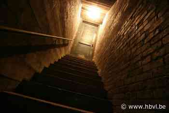 Acht jaar cel gevraagd voor Maasmechelaar die echtgenote met pan sloeg en van trap duwde