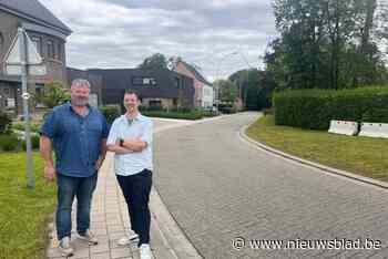 Knip in Leemanslaan oogst kritiek: “Hebben ze hier iemand een plezier willen doen?”