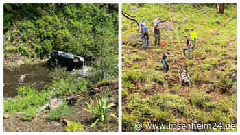 Held auf vier Pfoten: Hund wird zum Lebensretter nach Auto-Absturz über Klippe