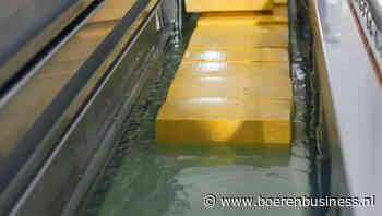 Kaasprijzen na opleving in kalmer vaarwater