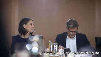 Grüne haben „nur bedingt Antworten“: Internes Partei-Papier legt nach Europawahl-Debakel Schwächen offen