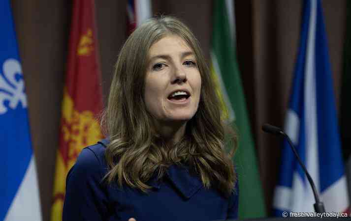 NDP bill to criminalize coercive control in intimate partner violence heads to Senate