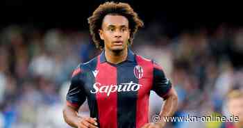 EM 2024: Ex-Bayern-Profi Zirkzee für Niederlande nachnominiert