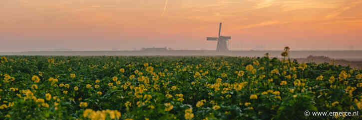 Van ‘skyscraper’ naar ‘ranch-style’ SEO: nieuwe trend in contentproductie