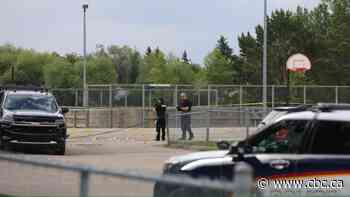Saskatoon police ask for public's help as they investigate homicide near Fairhaven School