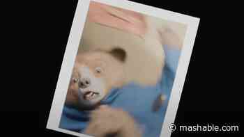 Paddington's still a total bumbler in 'Paddington in Peru' trailer