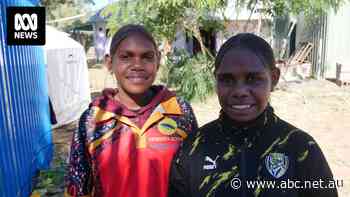 Fresh food can be a 'massive expense' in remote NT, but that's set to change with these community gardens