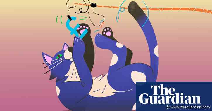 Deals on food and homemade toys: seven ways to cut the cost of cat ownership