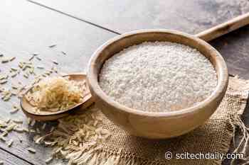 The Hidden Risks of Rice and Flour: Brazilian Study Uncovers Alarming Mycotoxin Levels in Everyday Foods