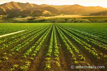 40% Surge: Growing Nitrous Oxide Emissions Trigger Scientific Alarm