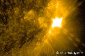Sun Erupts With Massive X1.5 Solar Flare