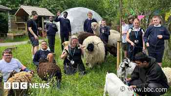 'Inspirational' school in world's best shortlist