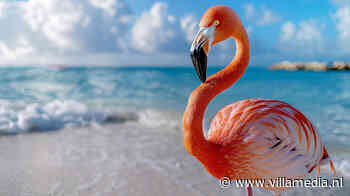 Fotograaf gediskwalificeerd na inzenden echte foto voor AI-wedstrijd