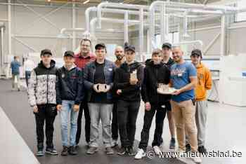Campus VTI-VIBSO wint Wood Skills-award