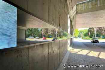 Deel van lichtinstallatie onder E314 werkt niet meer: vandalisme of defect?