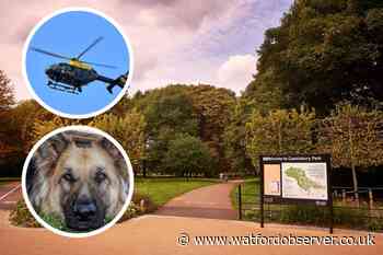 Cassiobury Park dog and helicopter search for robbers