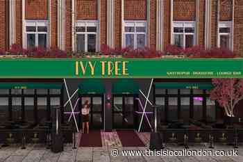 Ivy Tree, South Street, Romford: See how gastropub could look