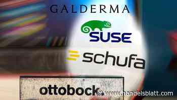 Private Equity: Dahinter steckt EQT – eine der weltweit bekanntesten Beteiligungsgesellschaften