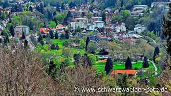 Tag der Vereine am Sonntag: Buntes Programm in Herrenalb