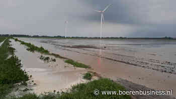 Cosun: opbrengst bietsuiker gaat dit jaar tegenvallen